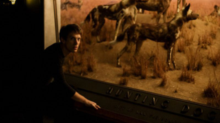 Shearwater’s Jonathan Meiburg